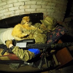 Печальный Принц