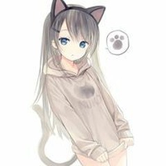 shikikatomo