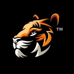 Phiso - Nothing On Me VIP (TheTigerBeast Extended)