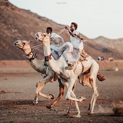 سورة الملك - أبو صفية.mp3Surah Al-Mulk Muhammad Othman Haj Ali محمد عثمان حاج علي