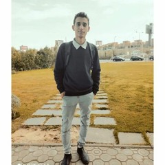 Hassan Elshazly Eata