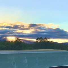 Central Coast 831 Area