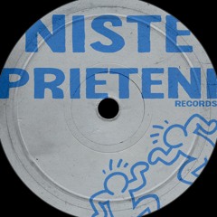 Niste Prieteni Records