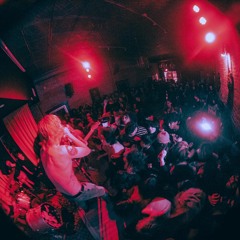 Live Longer Everything