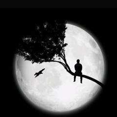 ‫يوسف misse‬‎