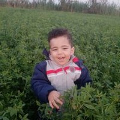 Yahia Daher