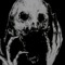 MORBIDMAXX