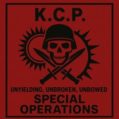 СПЕЦИАЛЬНЫЕ ОПЕРАЦИИ