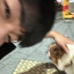 강아지 좋아하는 사람