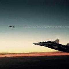 Pilot