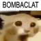 Idiotix_Axolotl