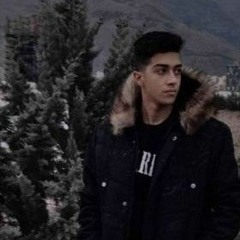 amir_amp