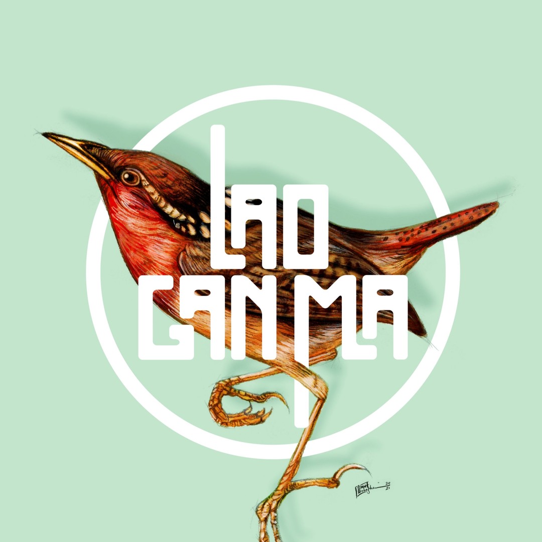 Lao Gan Ma’s avatar