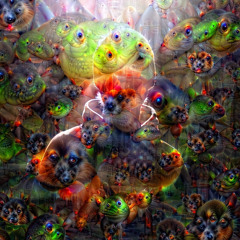 lukaplzms
