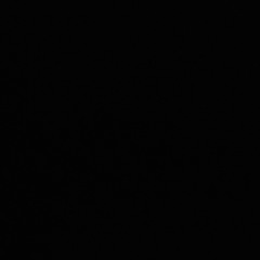 shayan_kw25