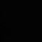 shayan_kw25