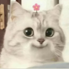 Xiimin