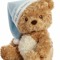 TheT3ddyBear