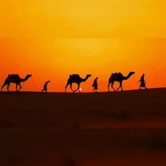 فلو قد ذقت من حلواه طعماً|قناة زاد العلميّة|