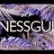 NESSGUI