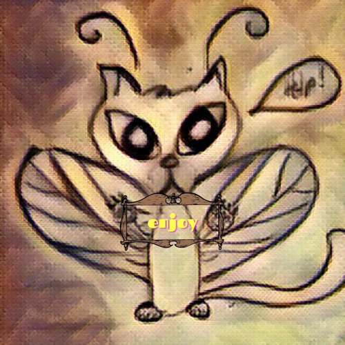The Fly Catz’s avatar