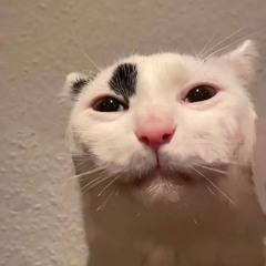 DavidKGF1