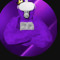 Apexanchor