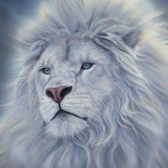 trem mais caro ✌️🦁