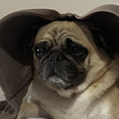 O.