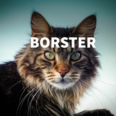 BorSteR