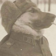 Chatolicious19293