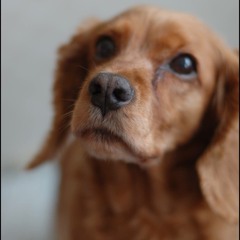 너의노래(경인방송 출연분) -임정훈트리오