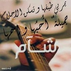 شام حجو