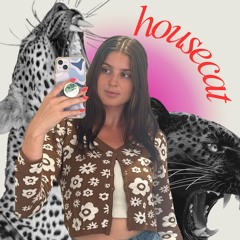 housecat
