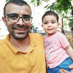 سعيد الشبينى