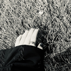 شُ