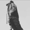 steve_nsteve_