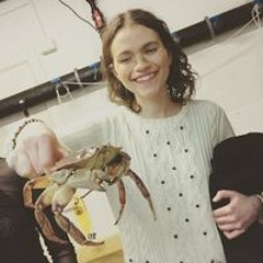 Jóhanna Sigurðardóttir