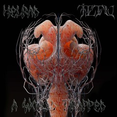 Helrad / Helrad Limited