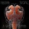 Helrad / Helrad Limited