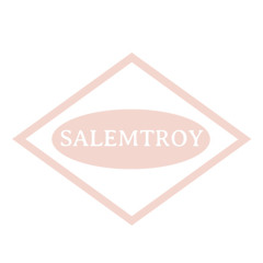 salemtroy