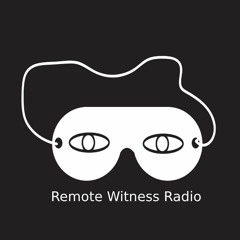 Remote Witness Radio
