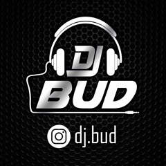 DJ Bud