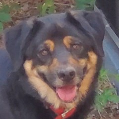 CPTSlugDog