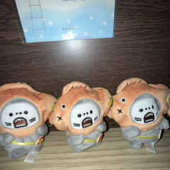 잊잊