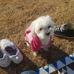 권윤서