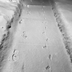 keep on the sunny side