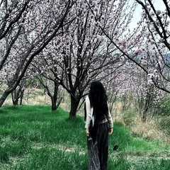mizuki m
