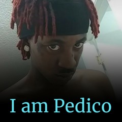 NO LOVE PEDICO