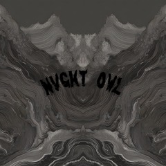 NVGHT OWL